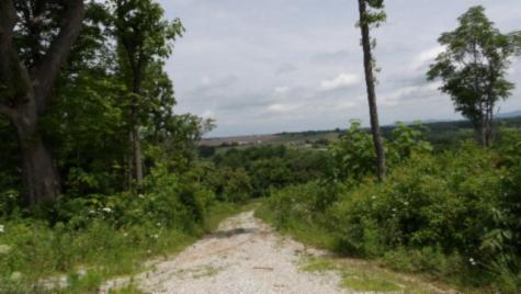 0 Livingston Highway Byrdstown TN 38549
