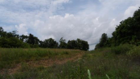 0 Livingston Highway Byrdstown TN 38549