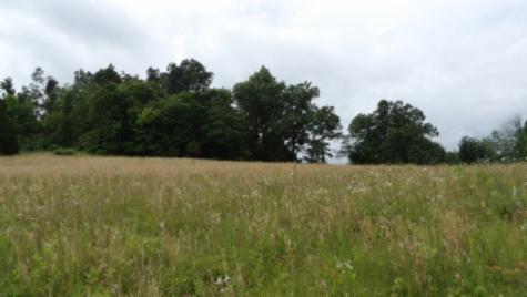 0 Livingston Highway Byrdstown TN 38549