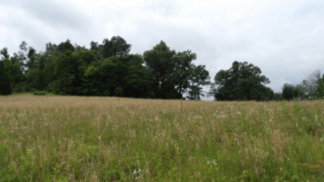 0 Livingston Highway Byrdstown TN 38549