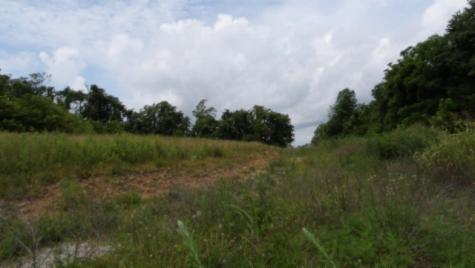 0 Livingston Highway Byrdstown TN 38549