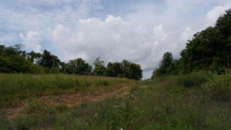 0 Livingston Highway Byrdstown TN 38549