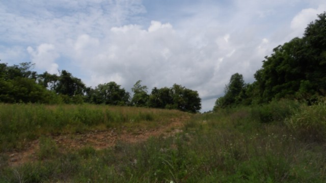 0 Livingston Highway Byrdstown TN 38549