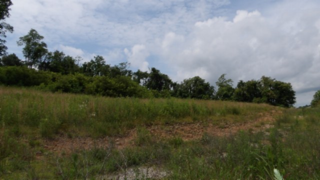 0 Livingston Highway Byrdstown TN 38549