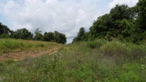 0 Livingston Highway Byrdstown TN 38549