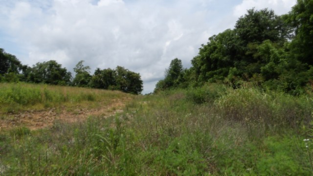 0 Livingston Highway Byrdstown TN 38549