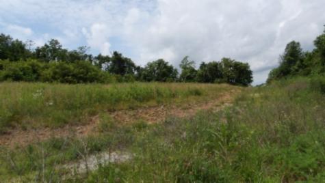 0 Livingston Highway Byrdstown TN 38549