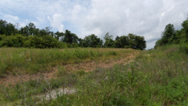 0 Livingston Highway Byrdstown TN 38549
