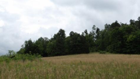 0 Livingston Highway Byrdstown TN 38549
