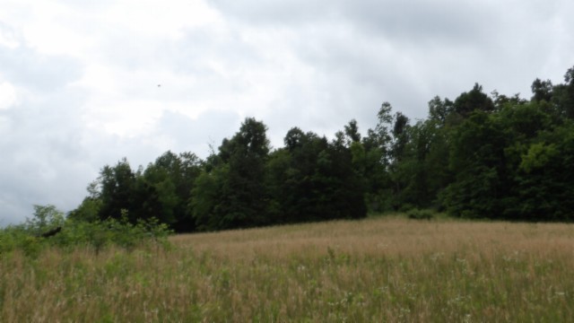 0 Livingston Highway Byrdstown TN 38549