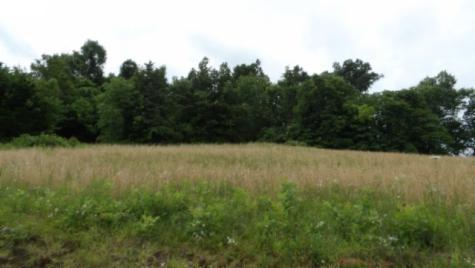 0 Livingston Highway Byrdstown TN 38549