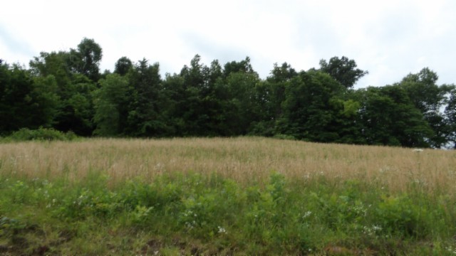 0 Livingston Highway Byrdstown TN 38549