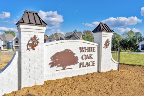 870 Cranes Camp Trail Chattanooga TN 37405