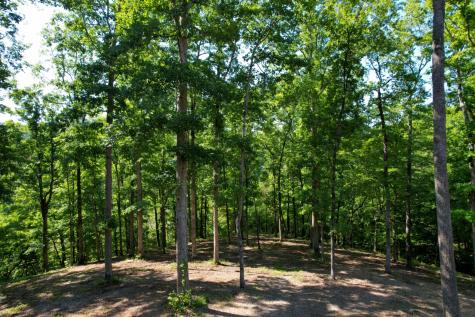 7506 Ivorybill Lane Franklin TN 37064