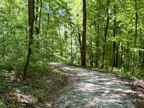 7506 Ivorybill Lane Franklin TN 37064