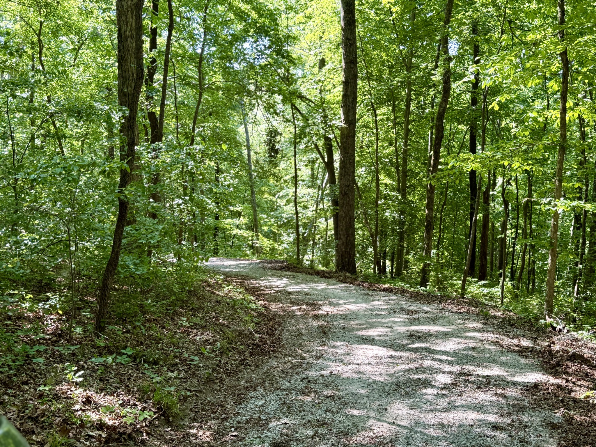 7506 Ivorybill Lane Franklin TN 37064