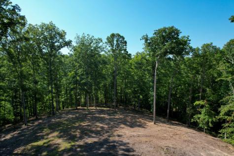 7506 Ivorybill Lane Franklin TN 37064