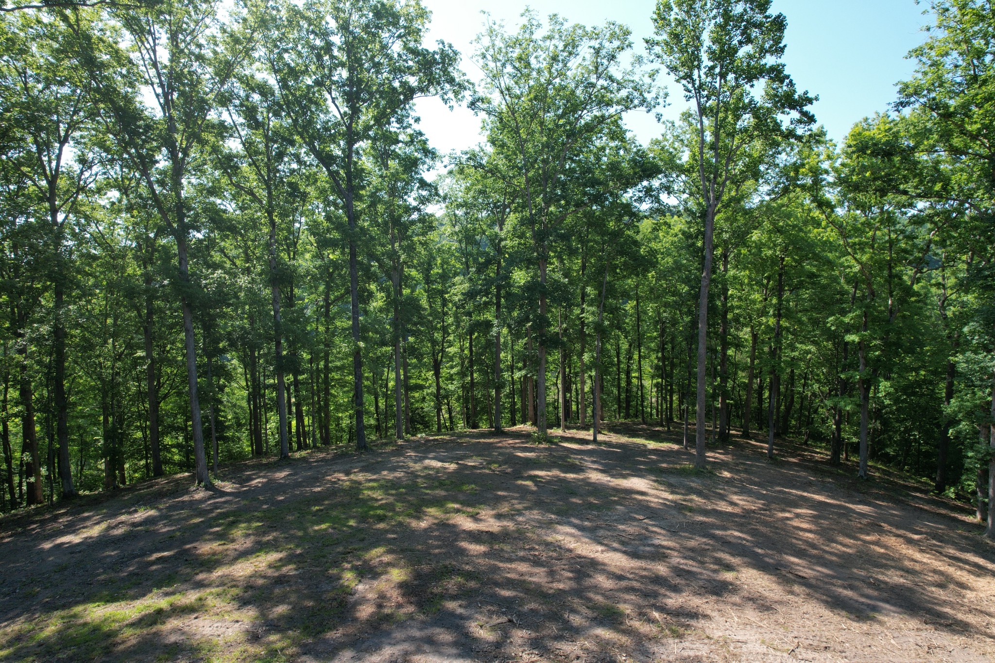 7506 Ivorybill Lane Franklin TN 37064