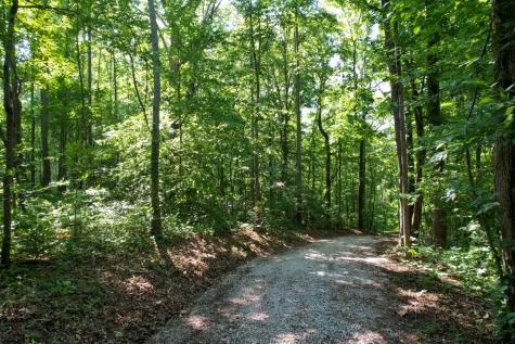 7506 Ivorybill Lane Franklin TN 37064