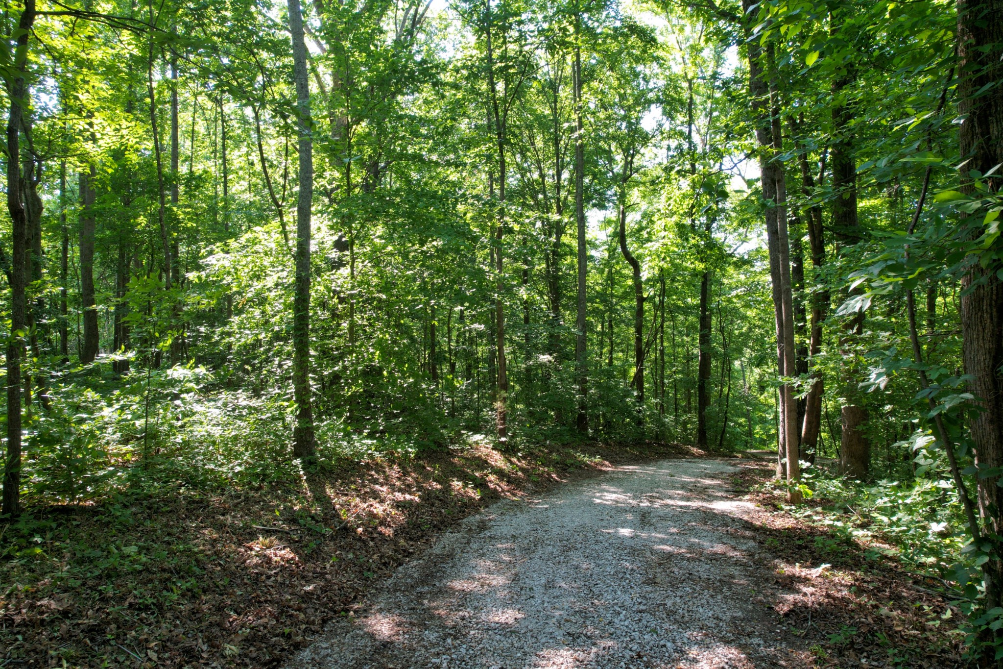 7506 Ivorybill Lane Franklin TN 37064