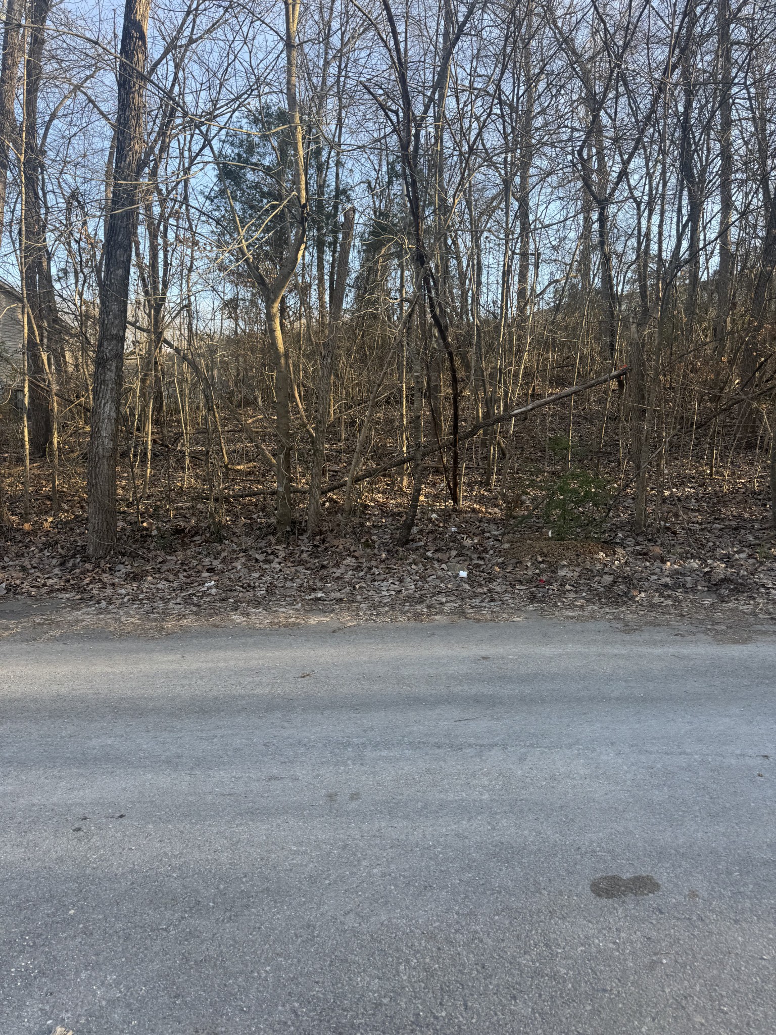 708 Peachers Drive Clarksville TN 37042