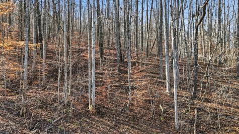 4512 Cummings Highway Chattanooga TN 37419