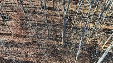 4512 Cummings Highway Chattanooga TN 37419