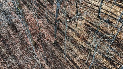 4512 Cummings Highway Chattanooga TN 37419