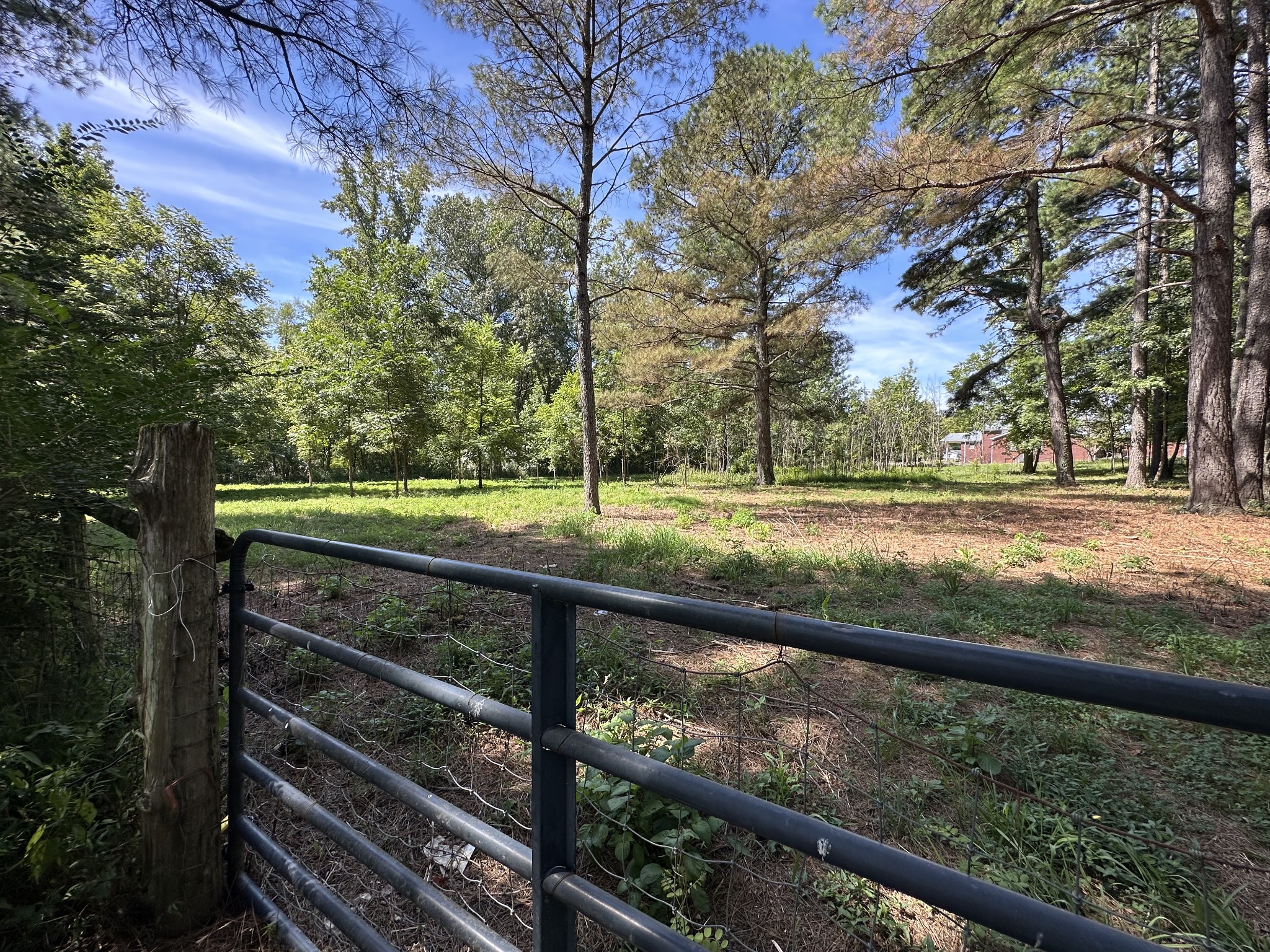 1035 Beacon Road Parsons TN 38363