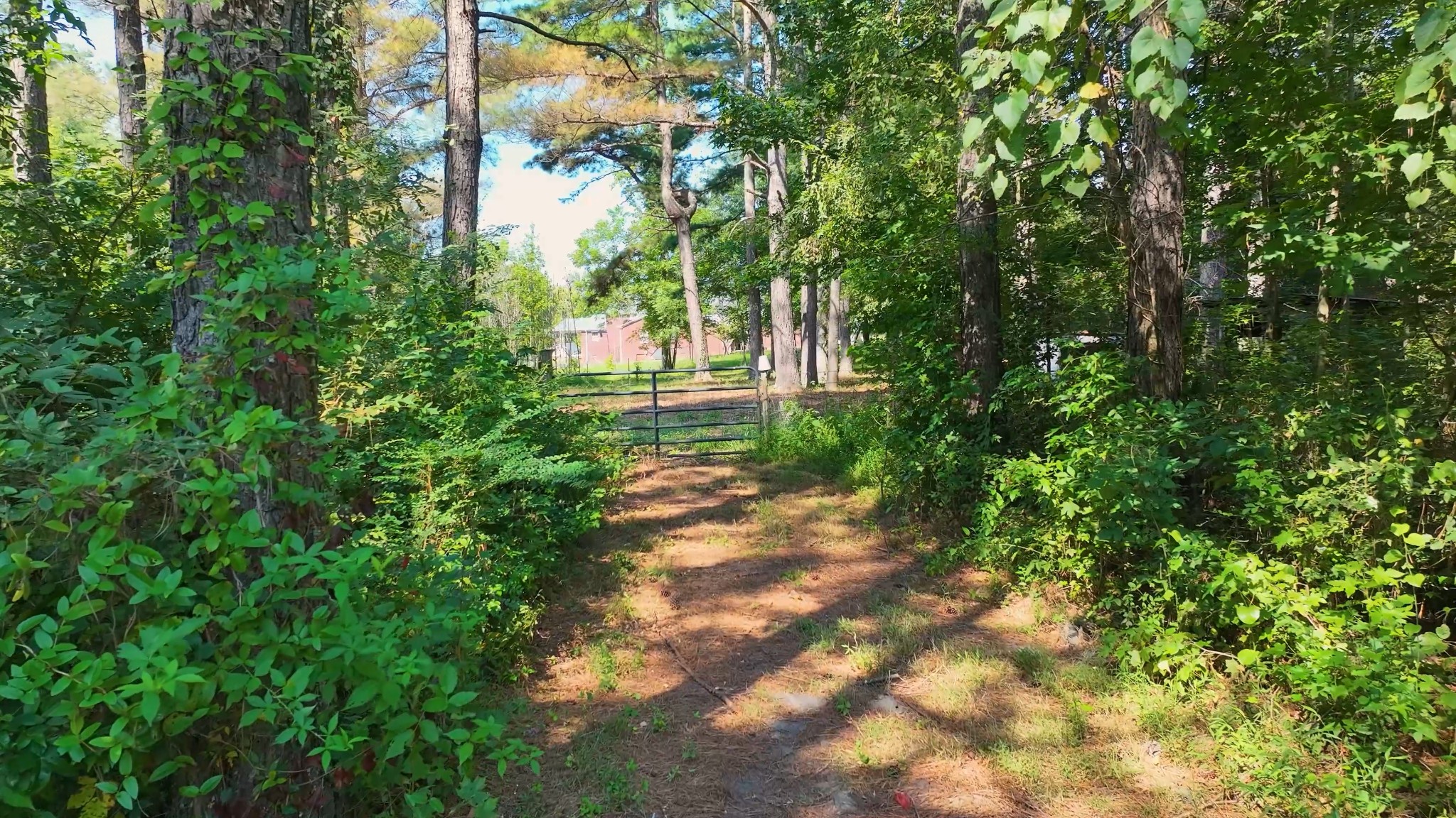1035 Beacon Road Parsons TN 38363