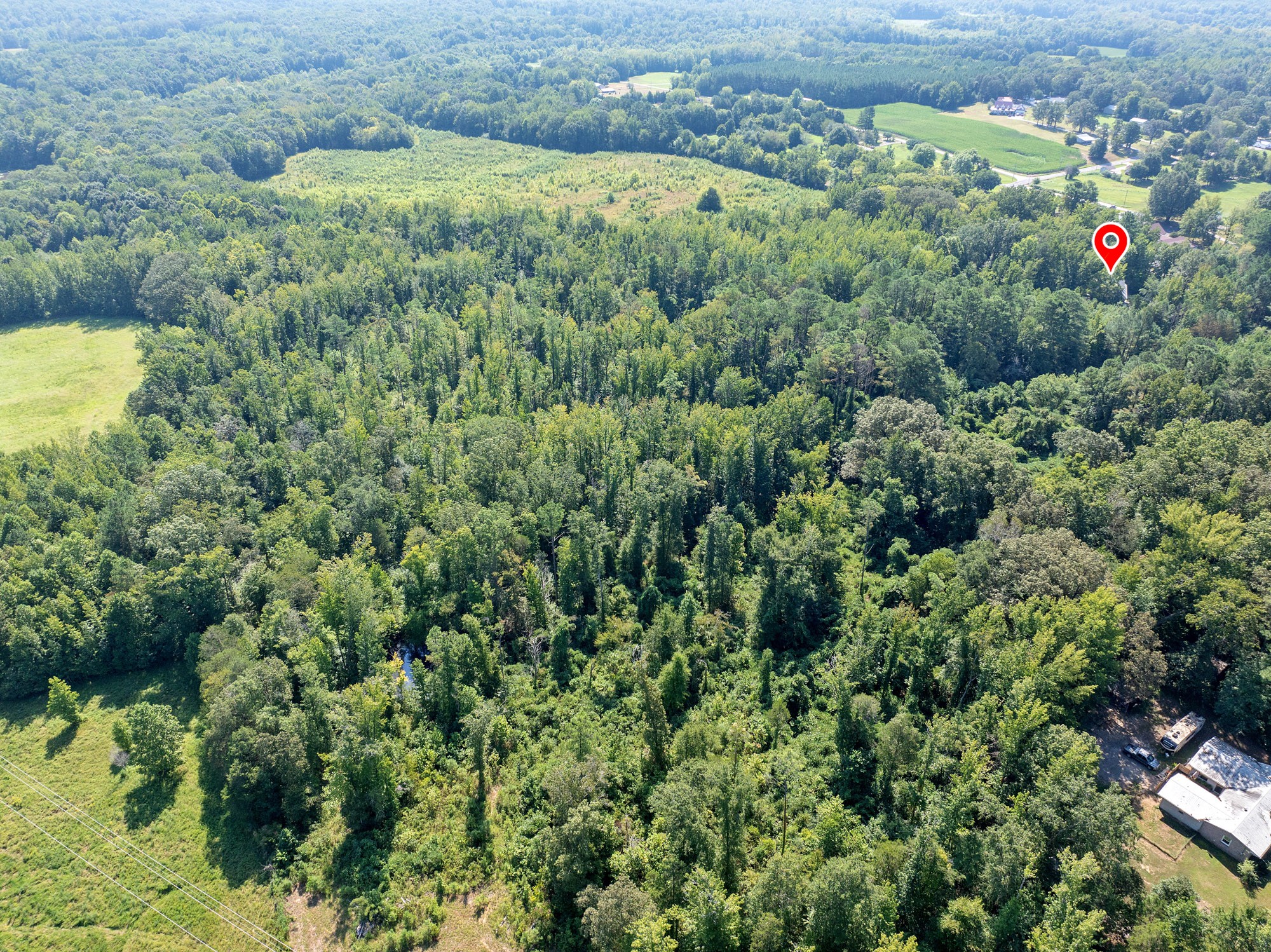 1035 Beacon Road Parsons TN 38363