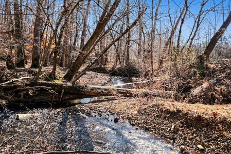2650 Pretty Creek Road Nunnelly TN 37137