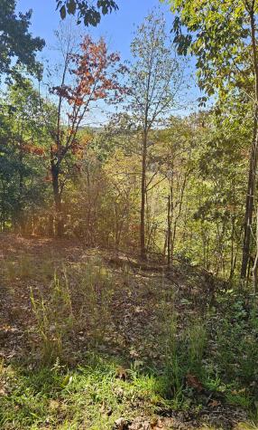 0 Big Richland Drive Waverly TN 37185
