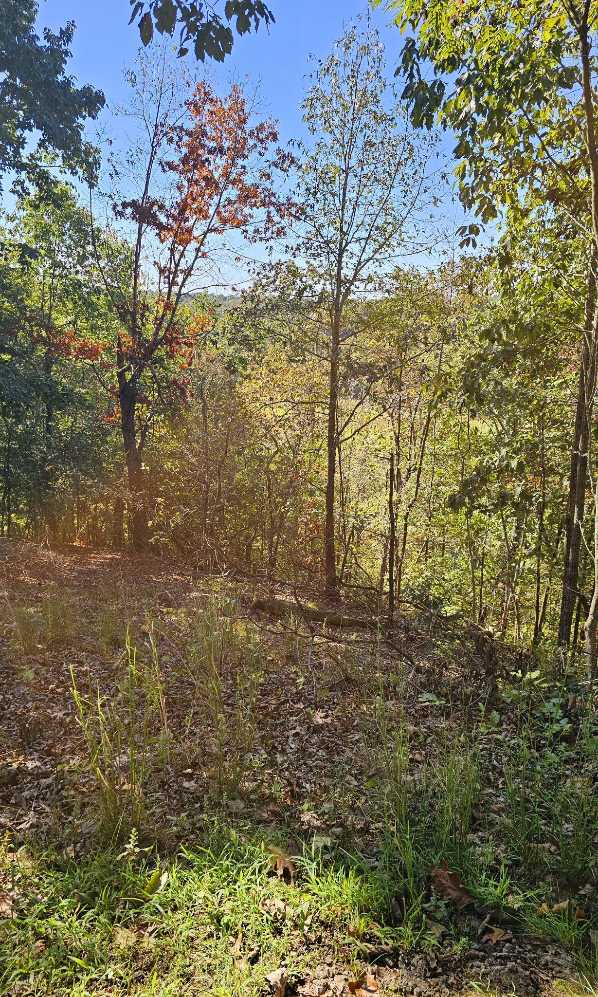 0 Big Richland Drive Waverly TN 37185