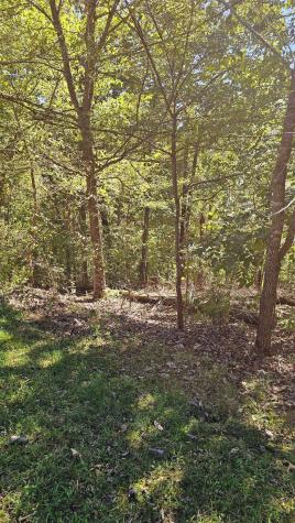 0 Big Richland Drive Waverly TN 37185