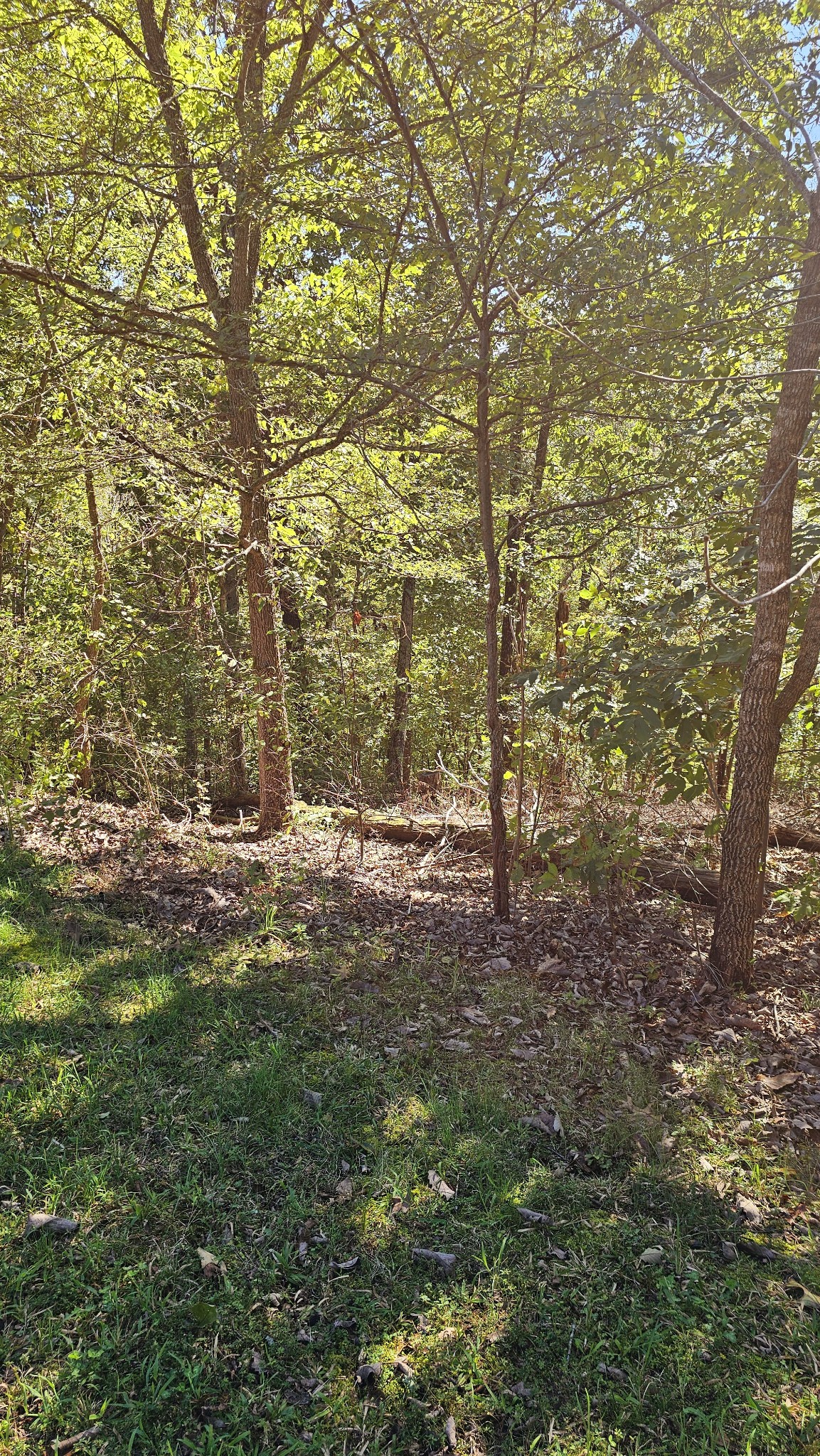 0 Big Richland Drive Waverly TN 37185