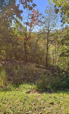 0 Big Richland Drive Waverly TN 37185