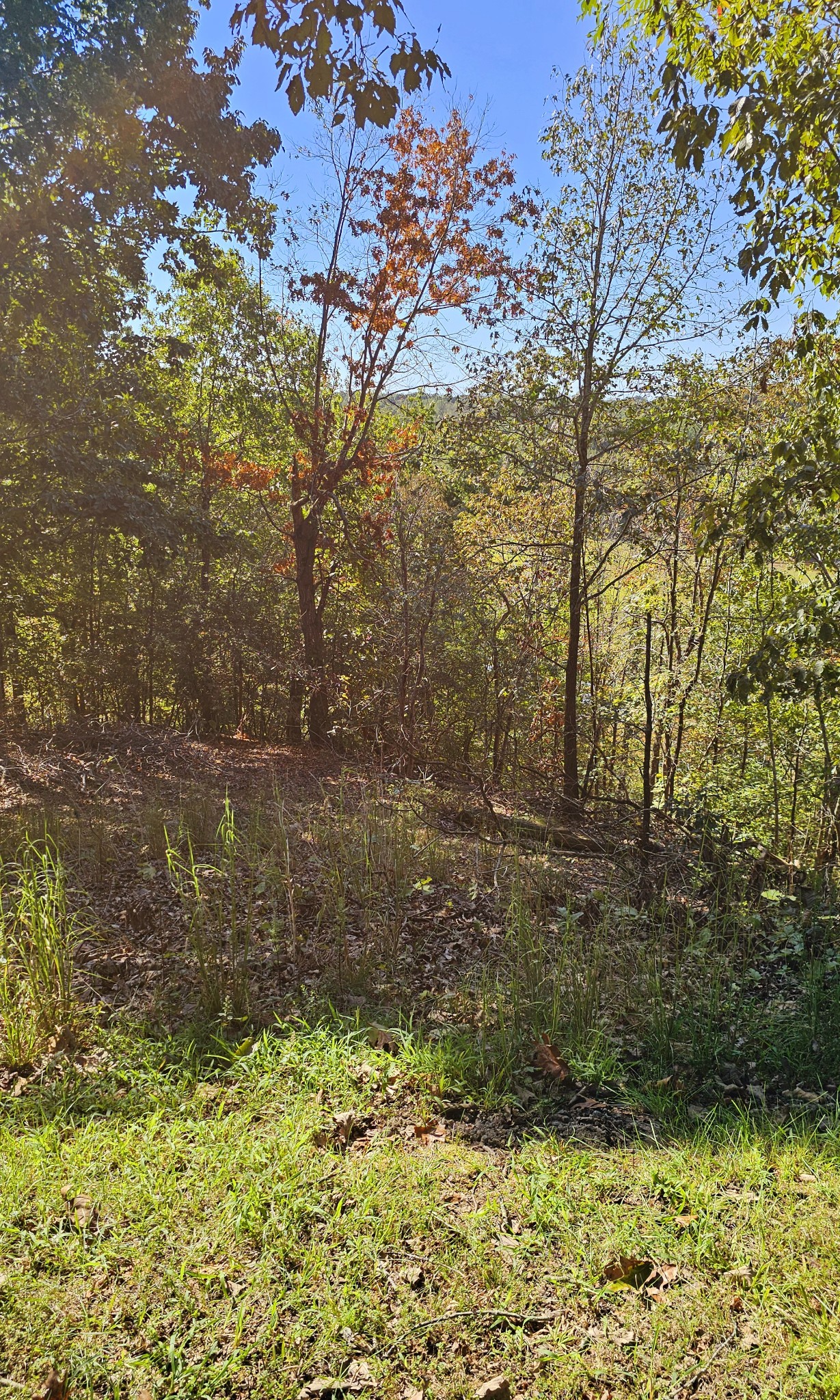 0 Big Richland Drive Waverly TN 37185