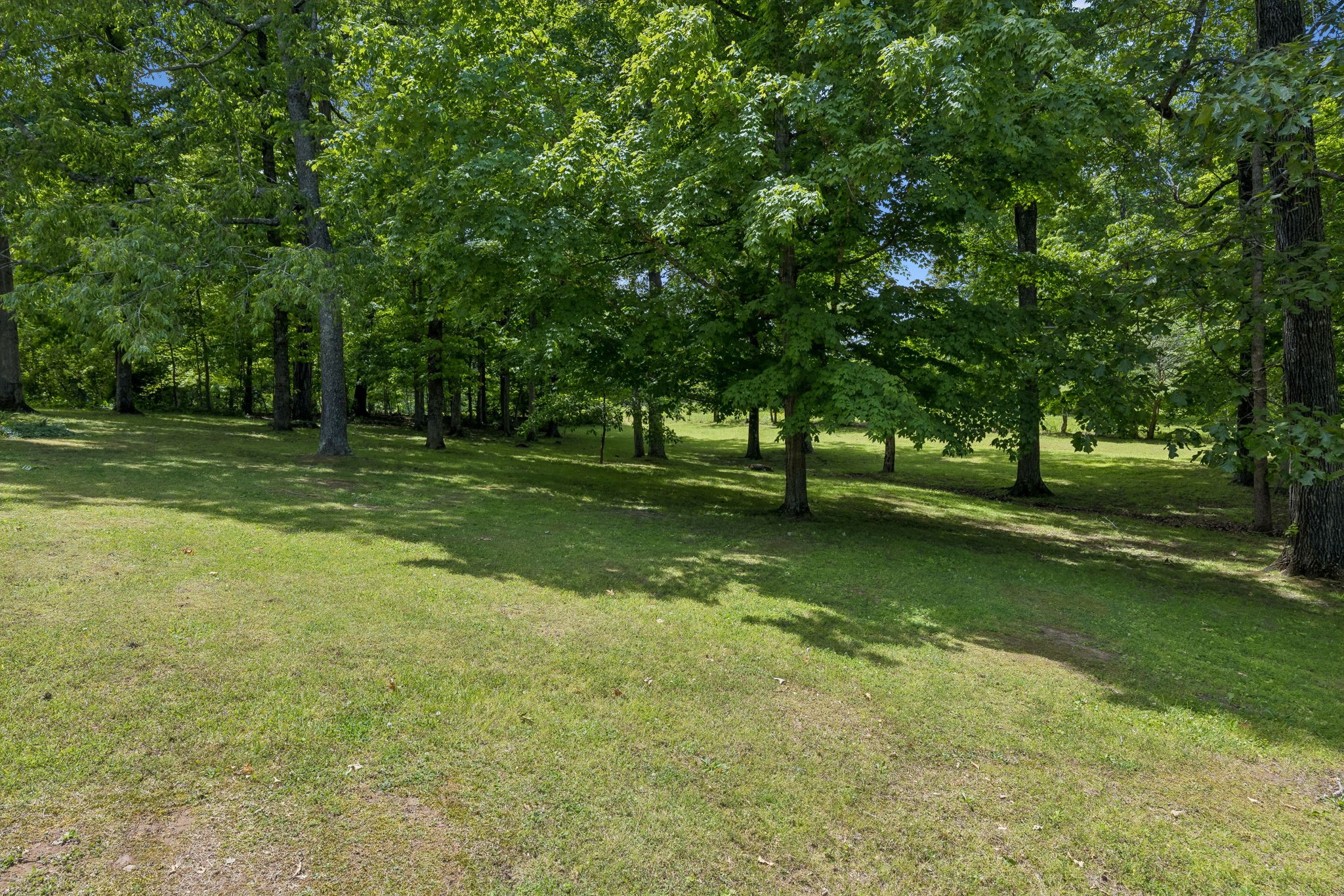 1018 Woodmont Drive Dickson TN 37055