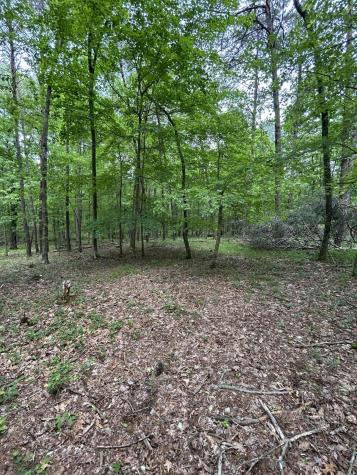 284 Jasper Creek Court Jasper TN 37347