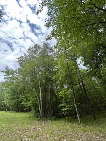 284 Jasper Creek Court Jasper TN 37347