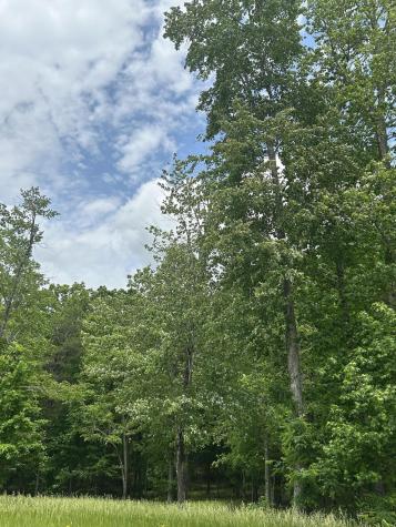 284 Jasper Creek Court Jasper TN 37347