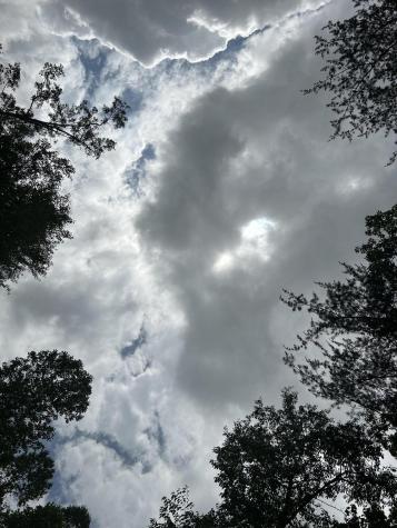 284 Jasper Creek Court Jasper TN 37347