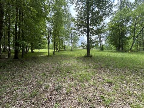 284 Jasper Creek Court Jasper TN 37347