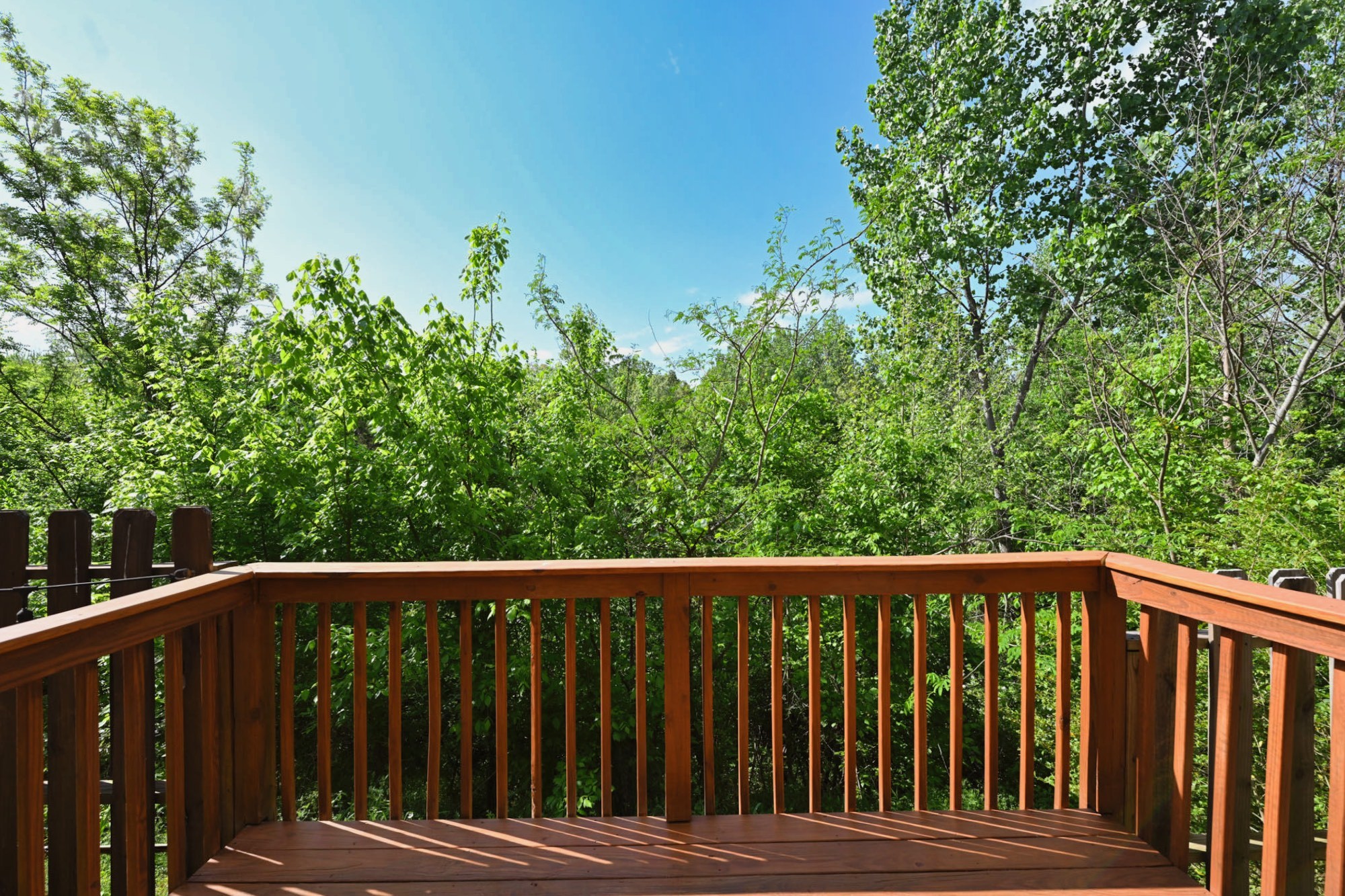 178 Shiaway Court Nashville TN 37217