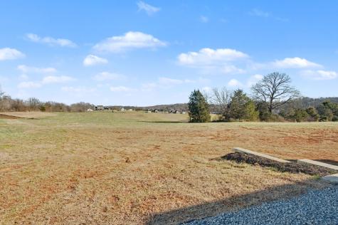 1017 Kennedy Lane Cottontown TN 37048
