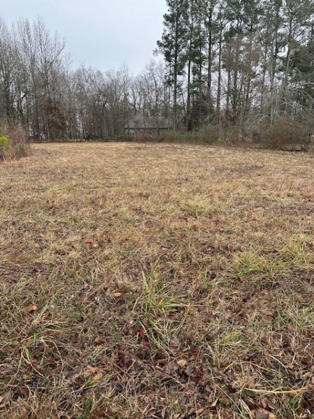 0 Doak Road Manchester TN 37355