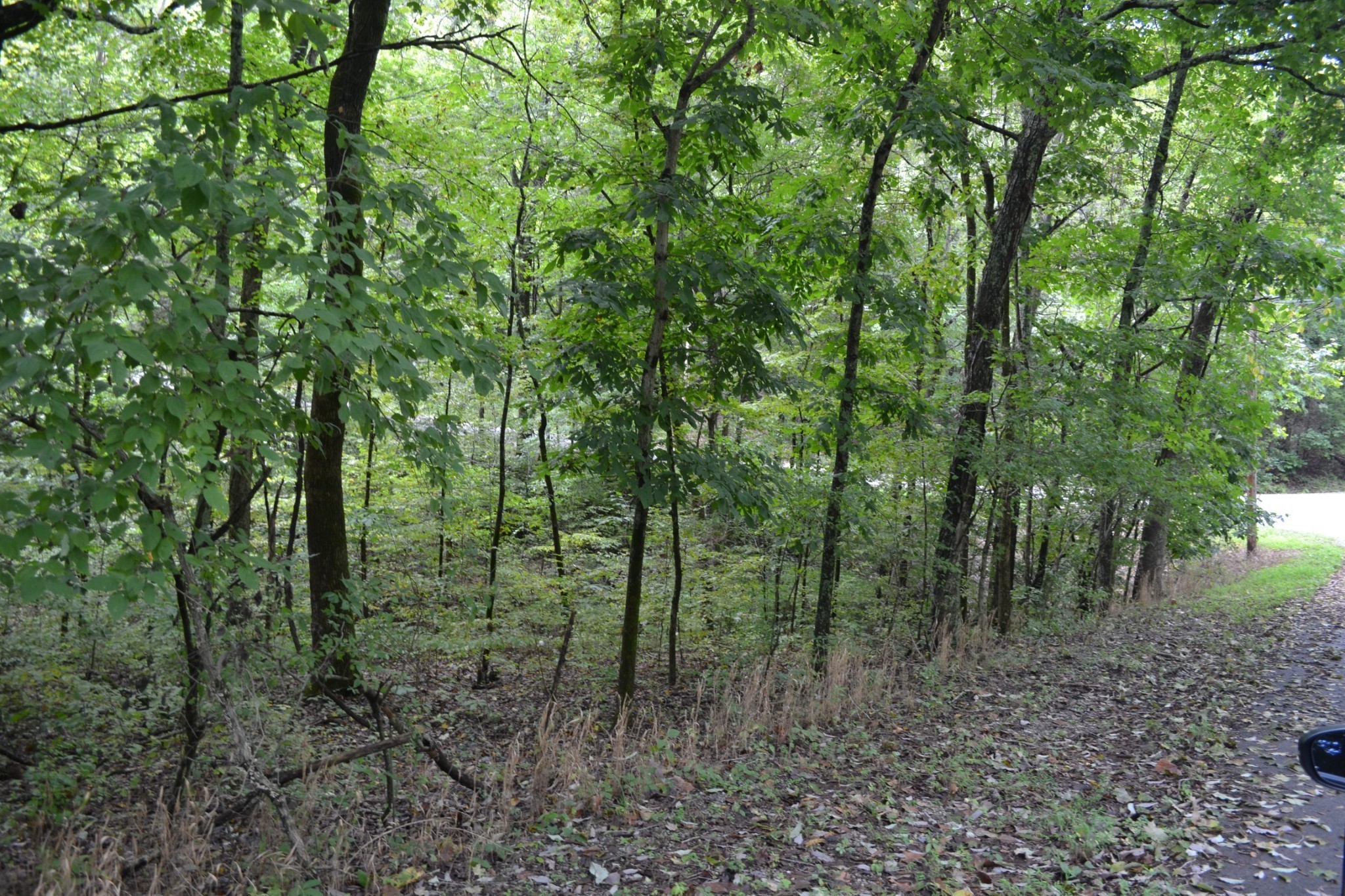 0 Pond Drive Gallatin TN 37066