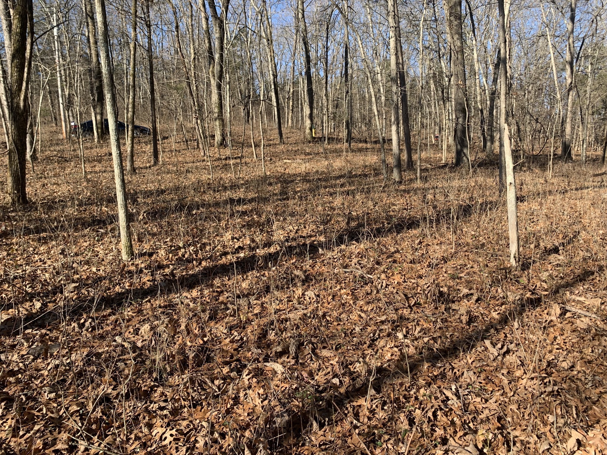 0 Pond Drive Gallatin TN 37066