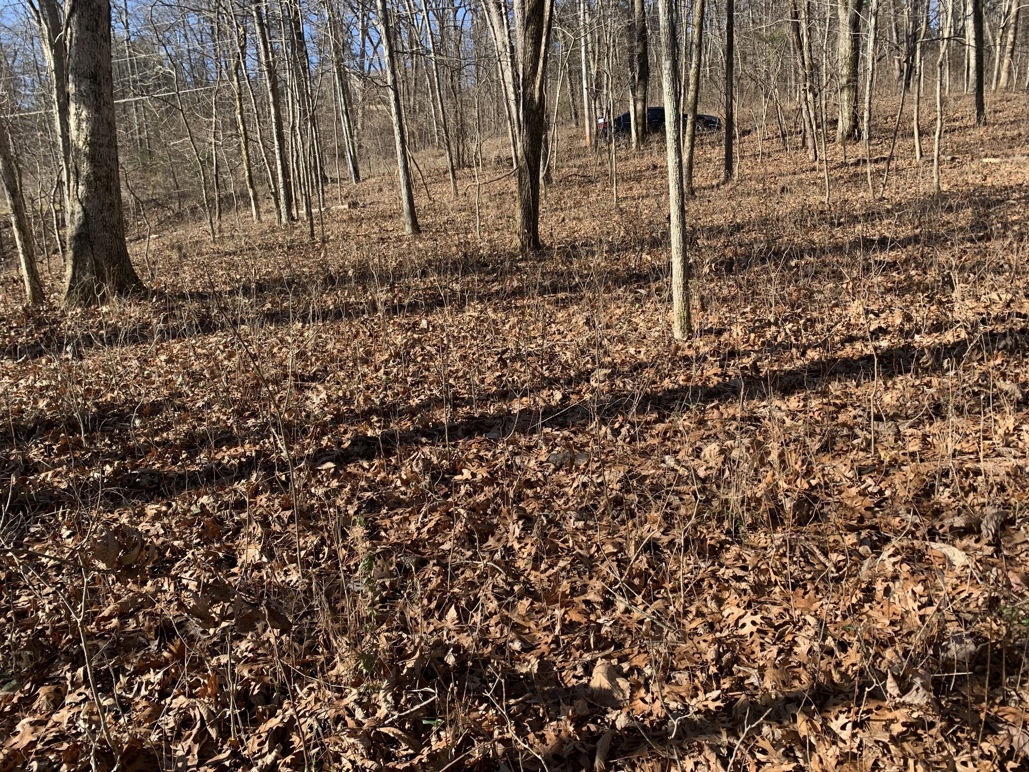 0 Pond Drive Gallatin TN 37066